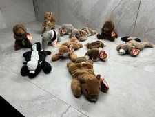 TY Beanie Babies Woodland Animal Lot of 11 Beaver Fox Raccoon Skunk Otter Tags