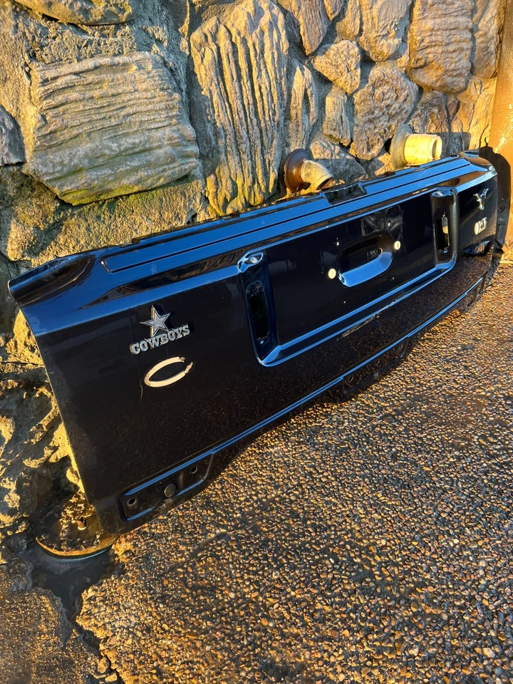 03 - 09 Range Rover HSE L322 Rear Lower Hatch Tailgate Door Shell OEM Dark Blue Foto 2 de 4