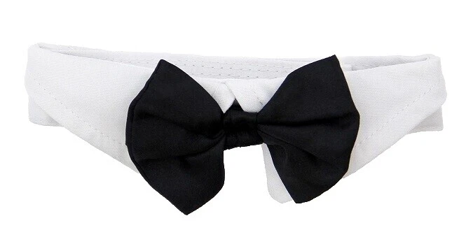 Ropa y zapatos para perro blanco satinado