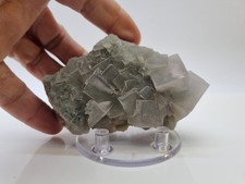 Minerali◇Fluorite Provenienza Monte San Calogero Sicilia Cm 10x6