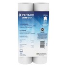 American Motorhome RV Replacement Water Filter 2pk Pentair RS14