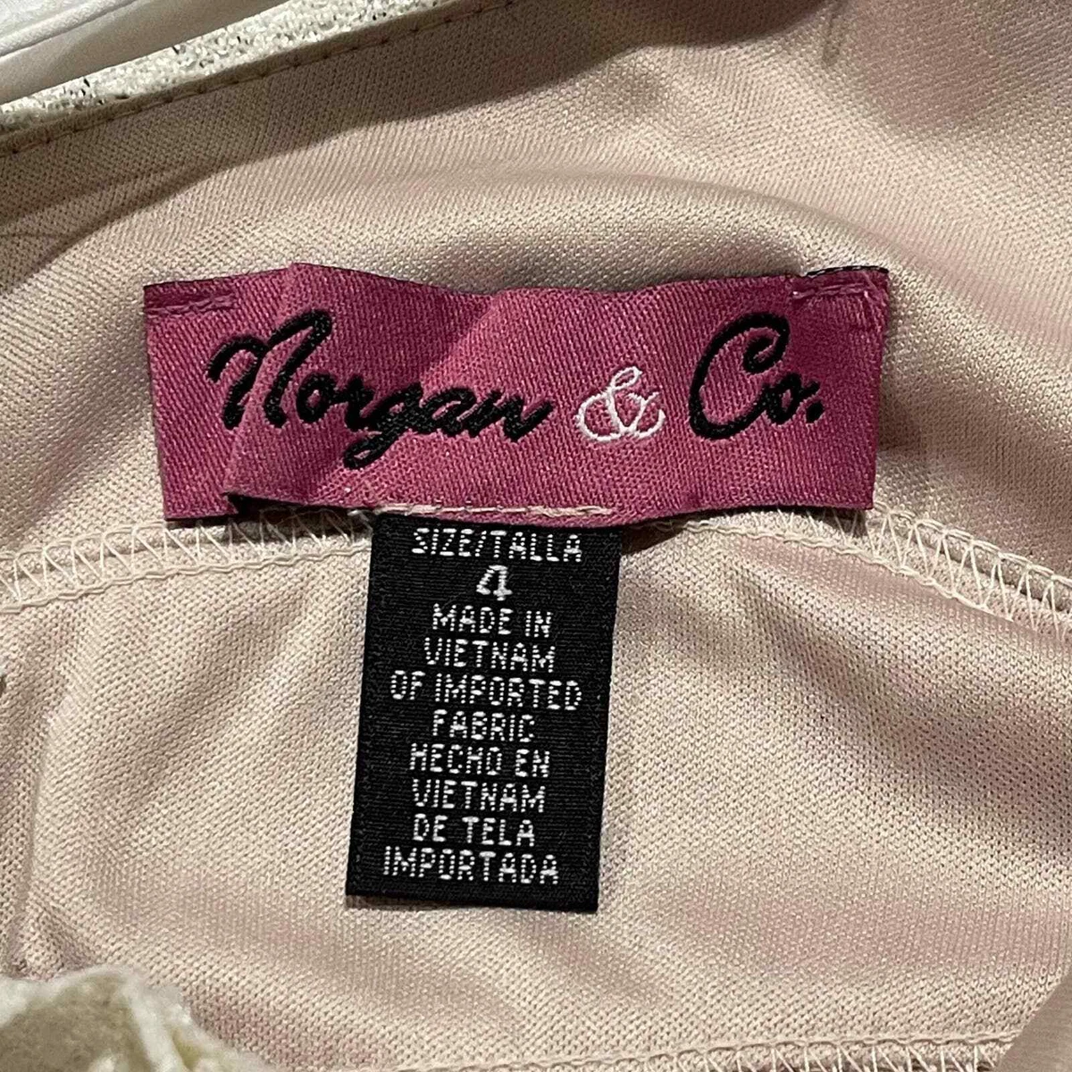 Embroidered fit & flare 2025 dress morgan & co