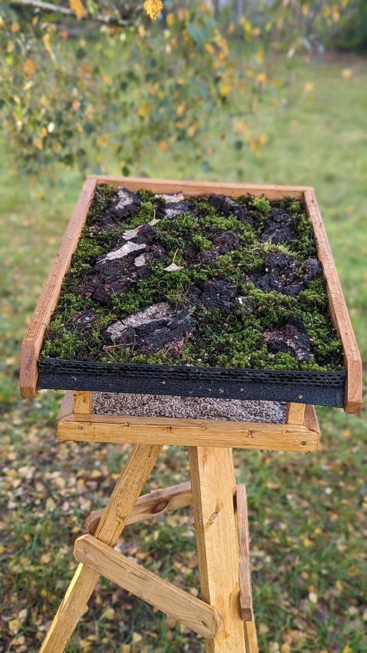 Bild 6 von 8