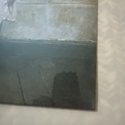 Picture 4 of 17