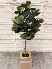 Tree Masters 6' Ultimate Medium Faux Fiddle Fig Tree in Round White Planter