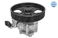 Meyle Servopumpe Hydraulisch FüR CitroëN Berlingo Peugeot Partner Tepee