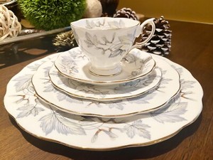 Royal Albert Silver Maple | eBay