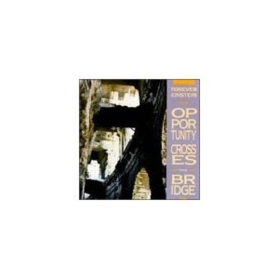 Forever Einstein - Opportunity Crosses the Bridge CD NEU