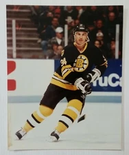 David Shaw #34 Boston Bruins Hockey Action Photo File 8x10 Unsigned Glossy Pic