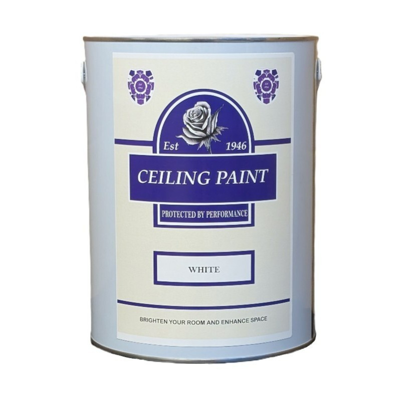 Ceiling Paint