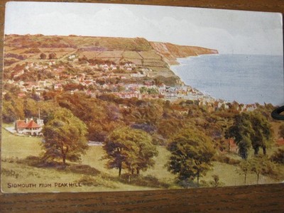 Sidmouth von Peak Hill, Devon (künstlerisch)
