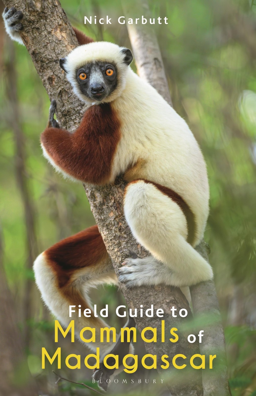 Field Guide to Mammals of Madagascar - Nick Garbutt - Paperback - New