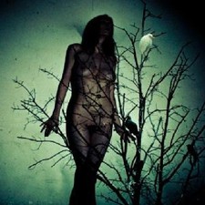 ATLAS MOTH - An Ache For The Distance - CD - **Excellent Condition**