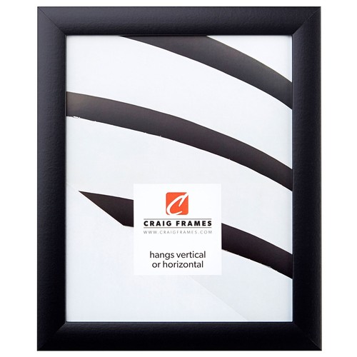 Contemporary Picture Frame, 4 x 10 Inch, Black