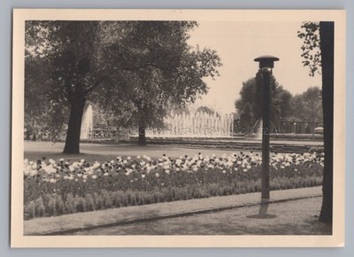 Essen - Gruga Springbrunnen - Altes Foto 1950er