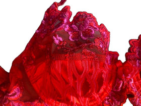 Vintage Lise Charmel Designer French Lingere Bra - Rose de Vent -Rouge Eclat 32B