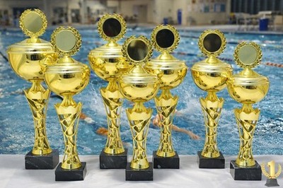 Pokal 2305 6er Serie oder Einzeln mit 50mm Emblem und Beschriftung