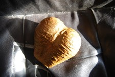 Realistic Fake Latex Testicles Gold Golden Balls Nuts Scrotum Ball Sac Sack