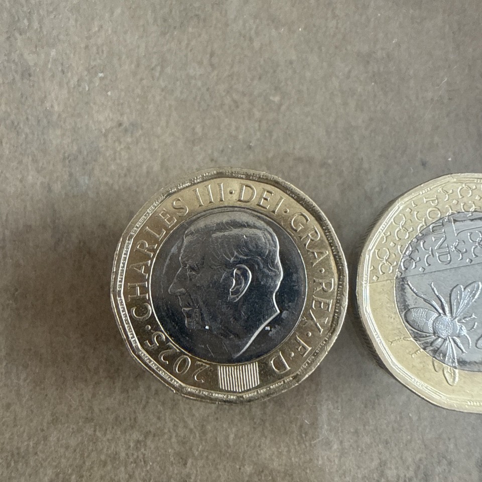 King Charles III £1 Bee Coins 2025 X2 | eBay UK