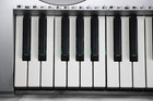 Best Choice Black 61 Keys Musical Instrument Electronic Keyboard *READ* — photo 10