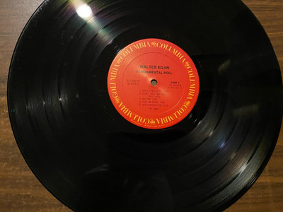 Walter Egan   Fundamental Roll LP [1977 Columbia PC 34679] VG+ (Soft Rock)