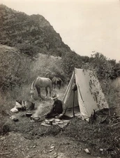 Forest Ranger Camp c1930s Photo Firefighter Horse Camping Equipment   *P177c