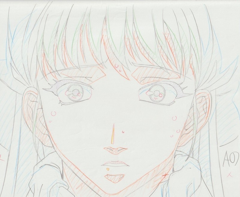 The Twelve Kingdoms Juuni Kokki Genga Douga Original Sketches Pierrot - Youko