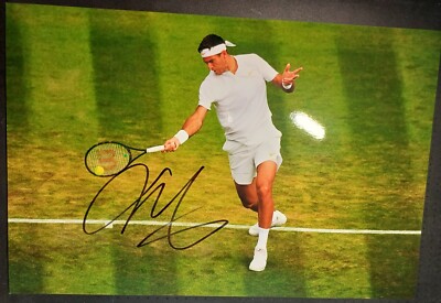 Juan Martin Del Potro erfolgreiche Rückkehr auf Gras während des Spiels signiert 12x8 Foto