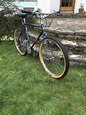 Retro Specialized Stumpjumper 2006 Anniversary edition UK