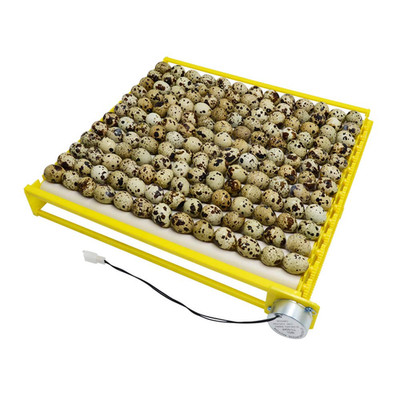 Hbtree Automatic Multifunction Incubator Egg Tray Turning Hatcher for Chickens/D