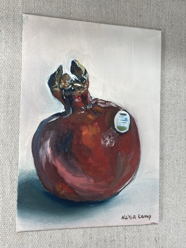 Oil Painting Pomegranate Still Life Hand Painted Artwork Kitchen Home Decor Food