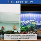 Led Aquarium Light, Full Spectrum Fish Tank Lights, Small 5/10 Gallon ...