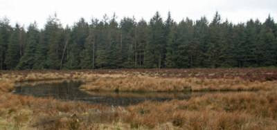Foto 6x4 Moorbecken Long Cairn\/NY5286 Moorbecken an der Spitze von Muckle Pund c2008