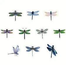 500 pc Sticker Roll Various Dragonfly Theme Designs Semi Gloss Self Adhesive NEW