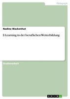Nadine Wackenhut | E-Learning In Der Beruflichen Weiterbildung | Taschenbuch