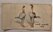 Antique: 1910. &ldquo;Poultry&rdquo;. Water-Slide Transfer. Unused. Player. Cigarette Card.