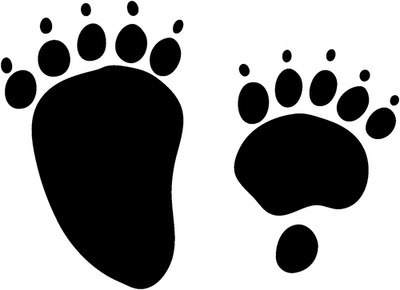 Bear Track STA1 Viny Window Decal Die Cut Graphic Hunting Stickers Wildlife