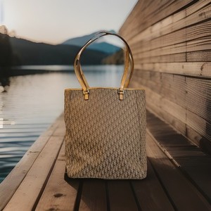 Auth Christian Dior Trotter Brown 1023 GM Bucket  Tote Bag