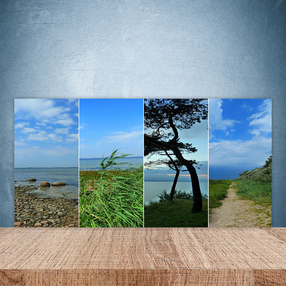 Crédence de cuisine en verre panneau paroi 100x50 paysage plage arbre