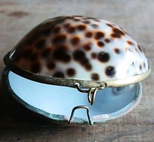 Ancienne boîte porte-chapelet / pilulier en coquillage Porcelaine Tigrée/laiton