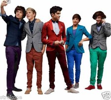 ONE DIRECTION Niall, Zayn, Liam, Harry Styles, Louis -Window Cling Decal Sticker
