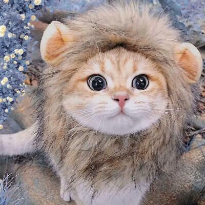 CAT LION CLOTHES HAIR FUNNY Pet MANE WIG Headgear Hat DRESS UP COSTUME G2X8  new.