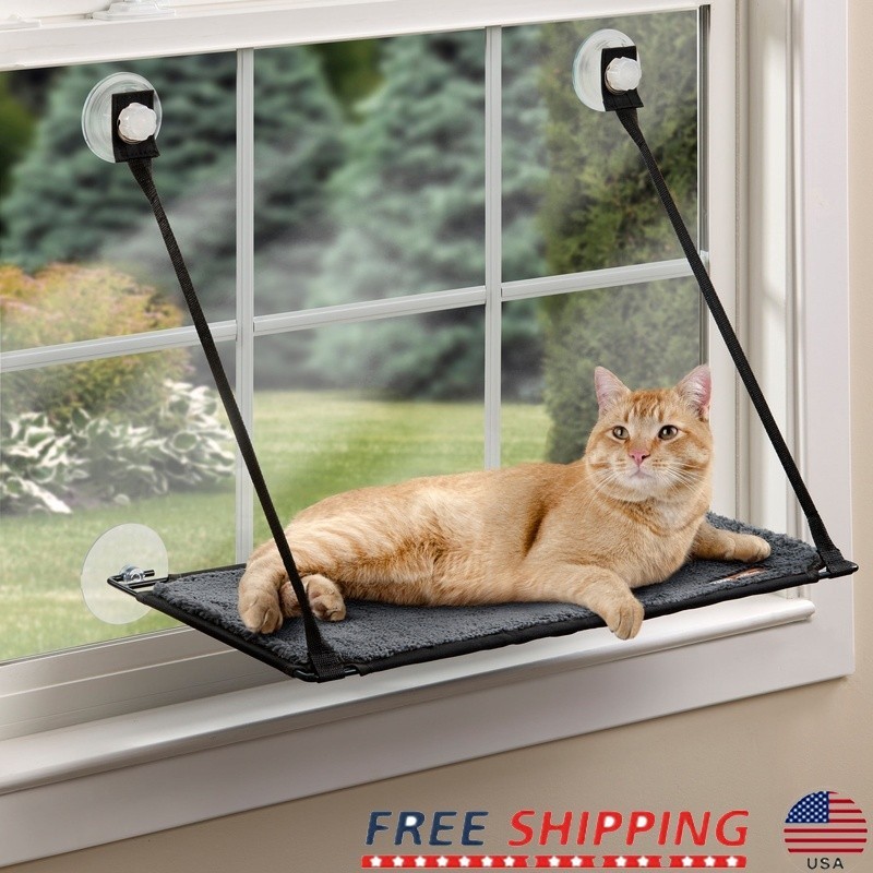 Durable Foldable Window Mount Cat Bed Kitty Sill W/ Suction Cups Perch New