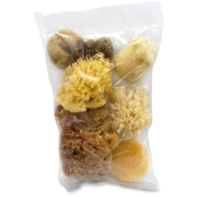 Versatile Sponge Pack for Painting Effects