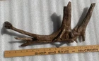 Real Driftwood Decor Decoration Wood Taxidermy Root Ball Desk Shelf