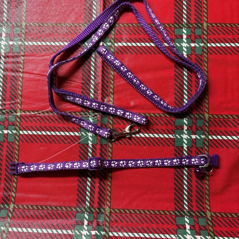 Dog/catLeash and Collar Set, Puppy Traction Rope Dog Collar Durable Walking Pet