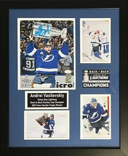 Andrei Vasilevskiy autographed framed 8x10 photo NHL Tampa Bay Lightning JSA COA