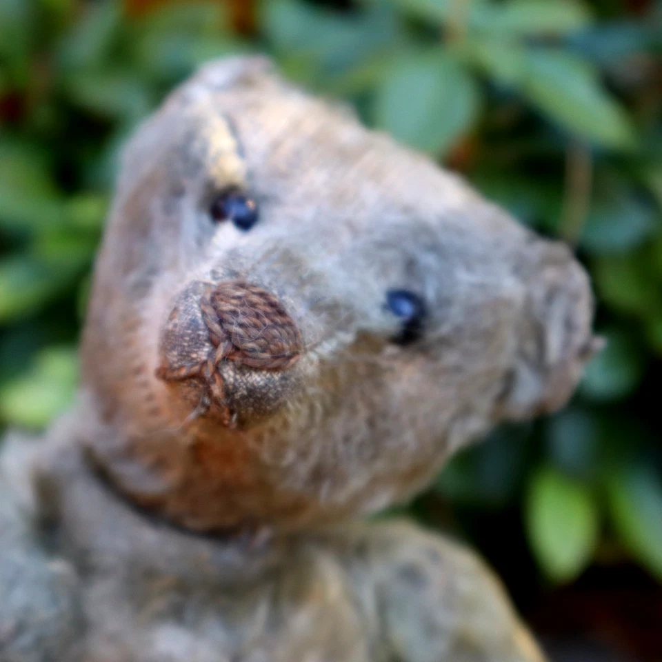 Antiguo oso de peluche STEIFF pequeño 8" excelentes garras jorobadas gris mohair articulado Foto 3 de 4