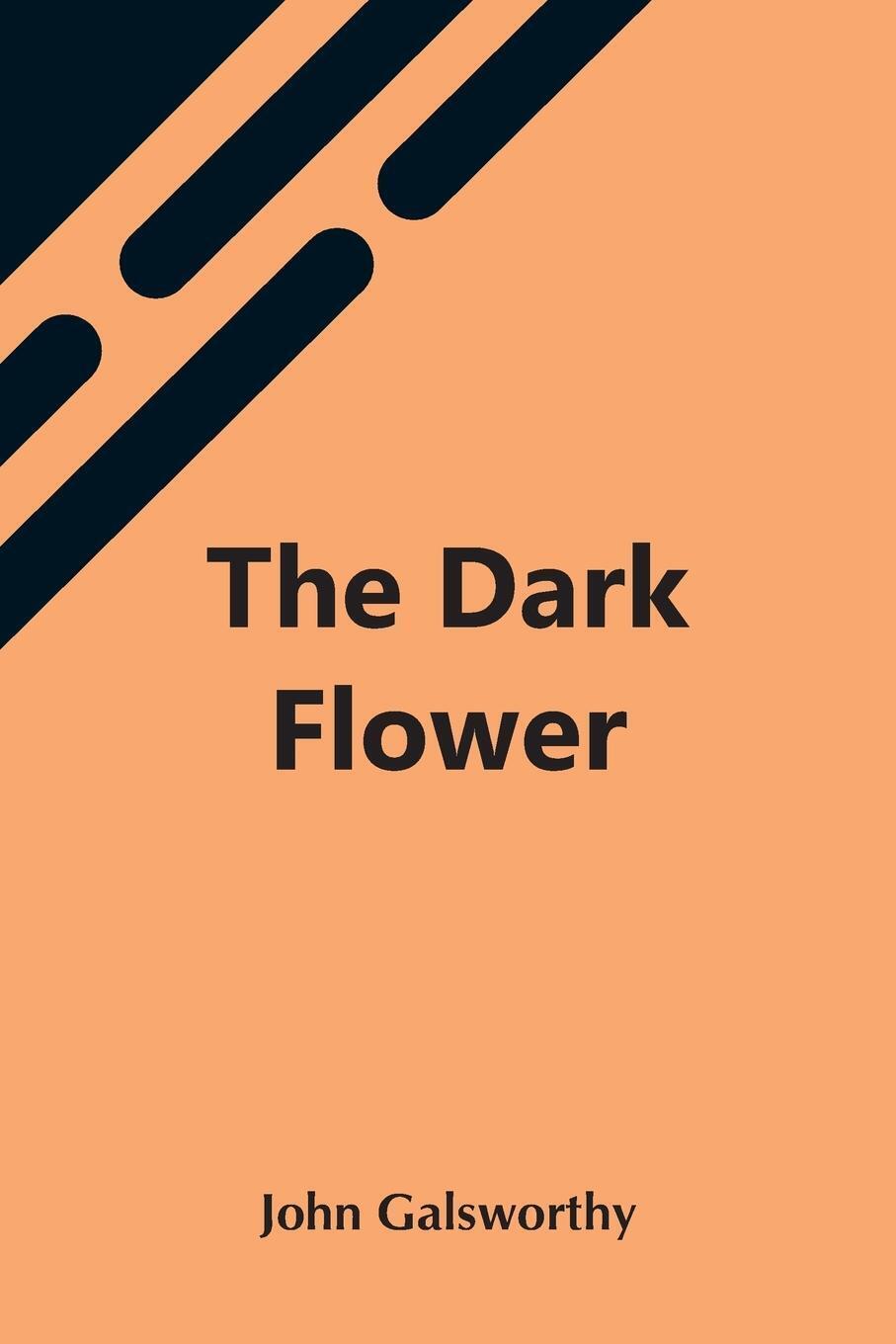 Thumbnail - The Dark Flower | John Galsworthy | Taschenbuch | Paperback | Englisch