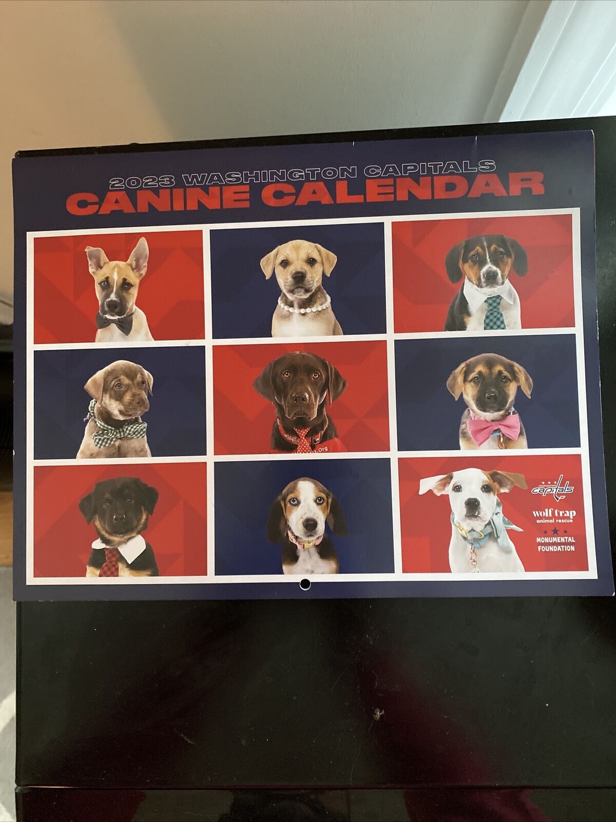 washington-capitals-2023-canine-calendar-ebay